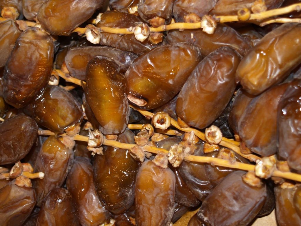 Les dattes de Biskra