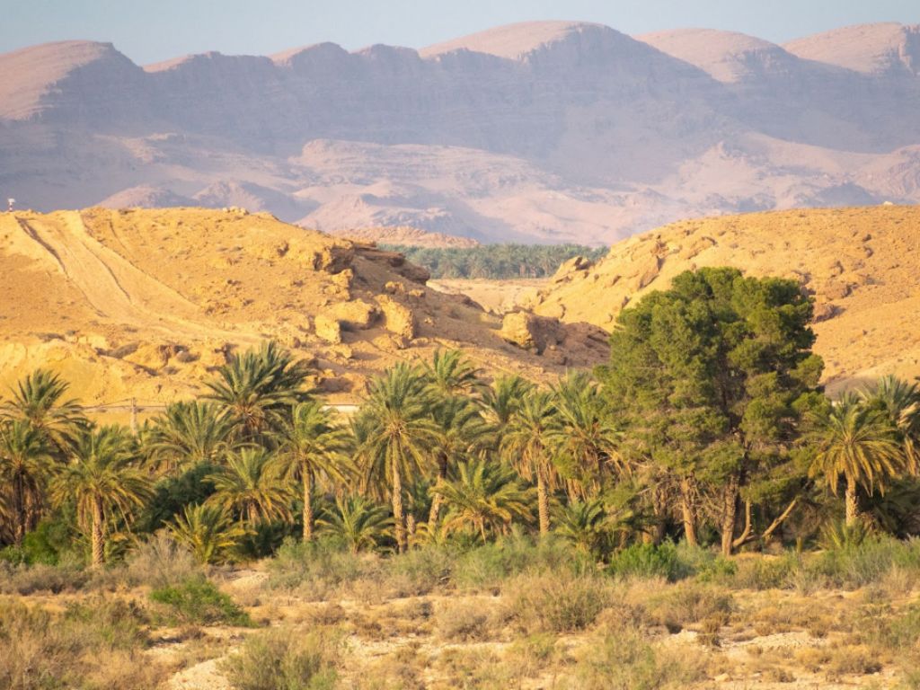 paysage de Biskra
