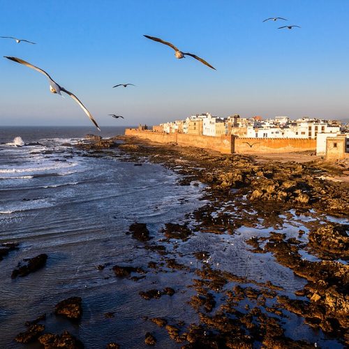 10 lieux incontournables à visiter au Maroc pendant la CAN 2025​