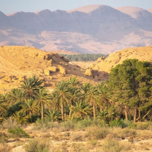 Biskra, la porte du Sahara algérien